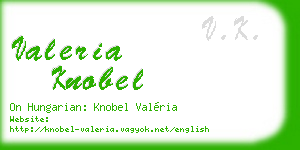 valeria knobel business card